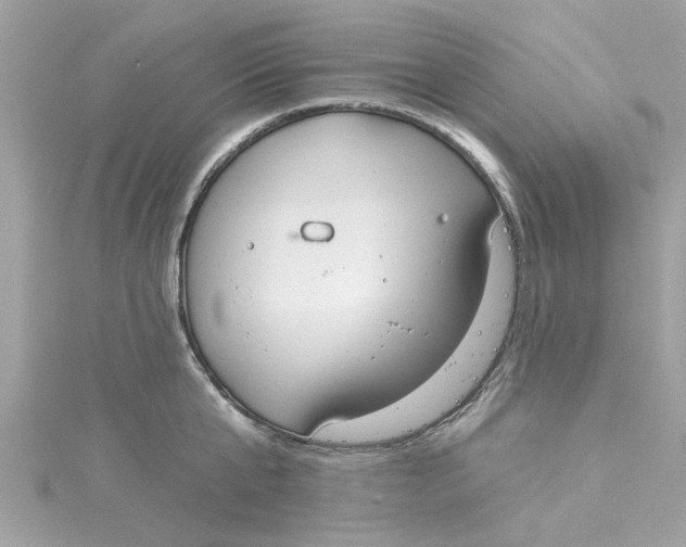 X0000115050807200911161547