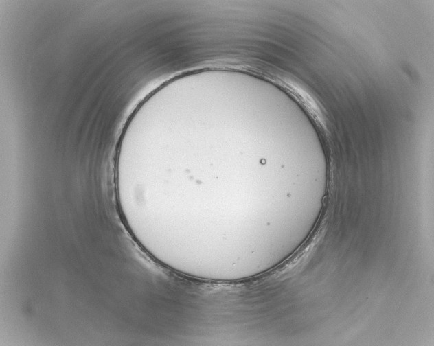 X0000115050808200911161547