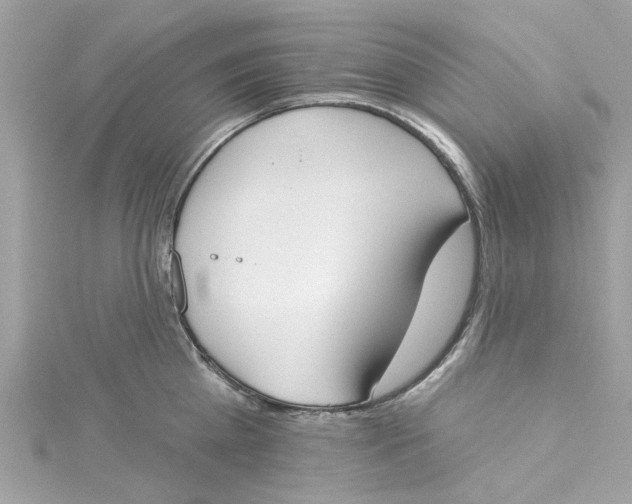 X0000115050809200911161546