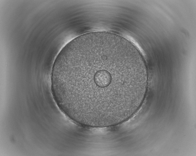 X0000115050810200911161546