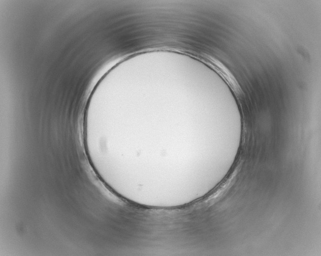 X0000115050812200911161546