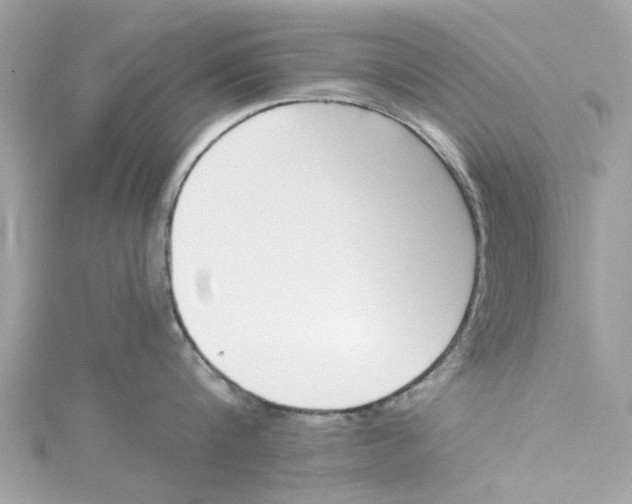 X0000115050816200911161546