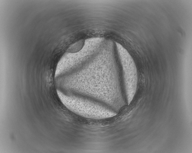 X0000115050818200911161546