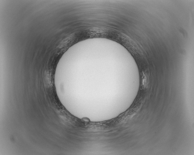 X0000115050819200911161546