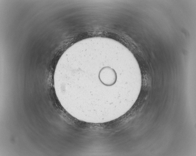 X0000115050820200911161546