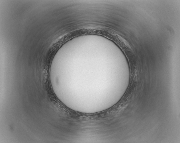 X0000115050821200911161546