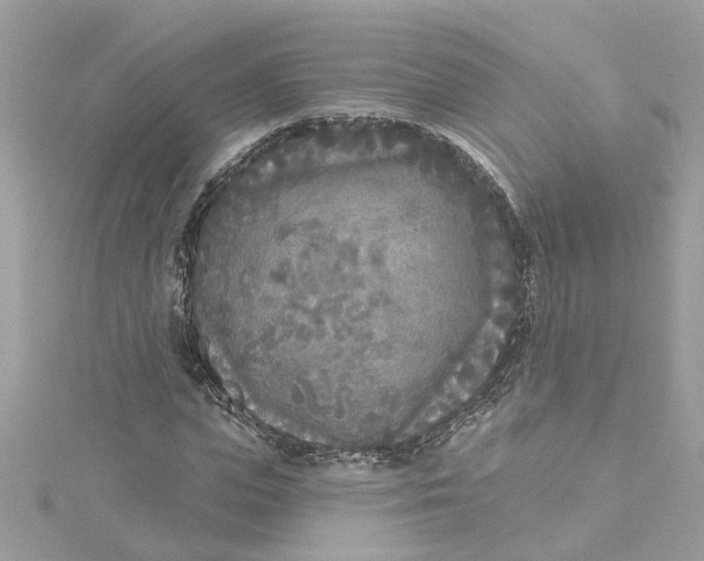 X0000115050823200911161546