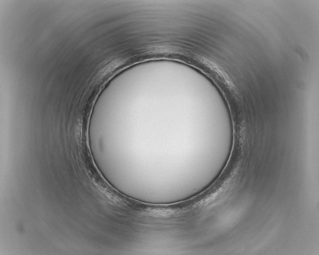 X0000115050825200911161546