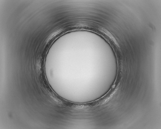 X0000115050826200911161546