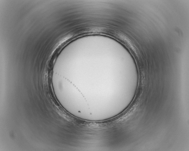 X0000115050827200911161546