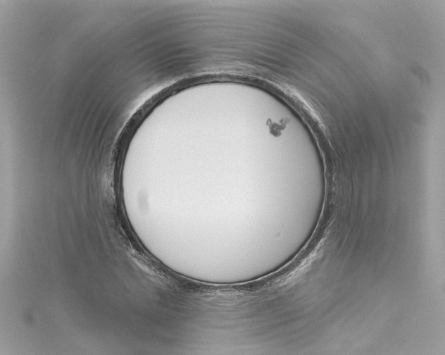 X0000115050830200911161546