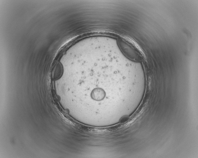 X0000115050831200911161546