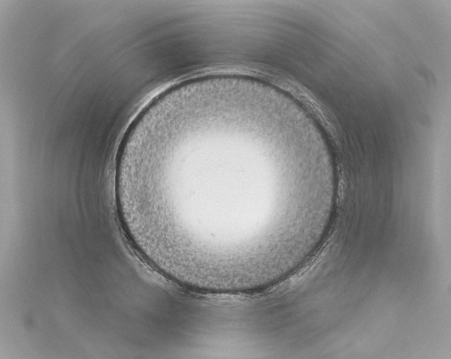 X0000115050836200911161546