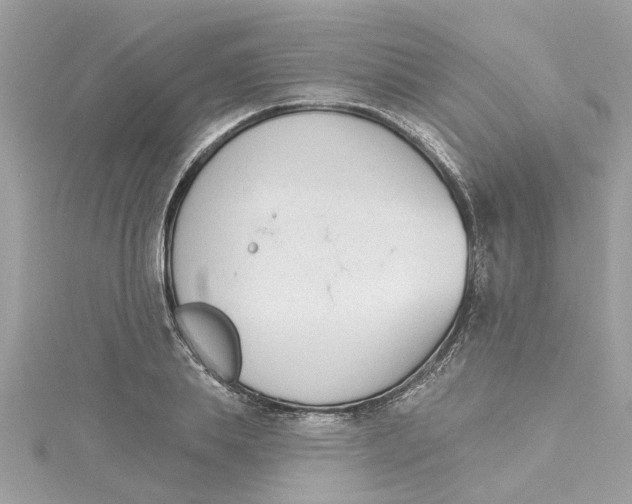 X0000115050839200911161546