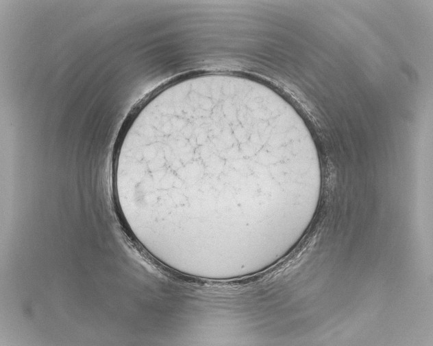 X0000115050840200911161546