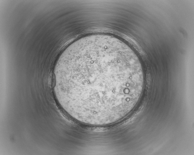 X0000115050841200911161546