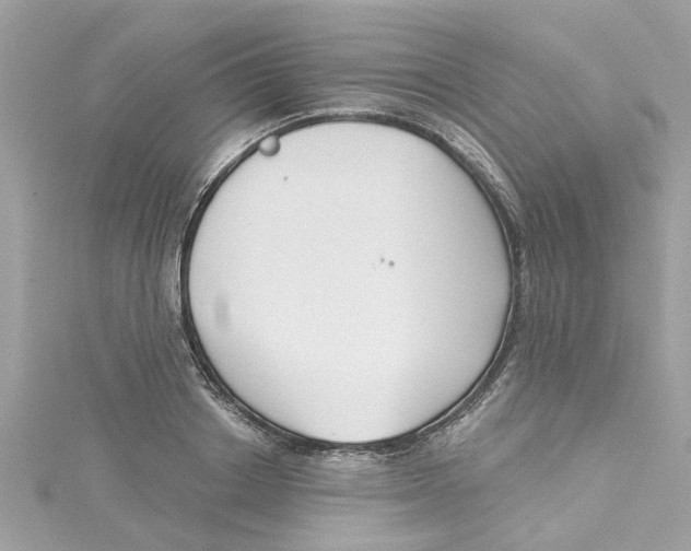 X0000115050842200911161546