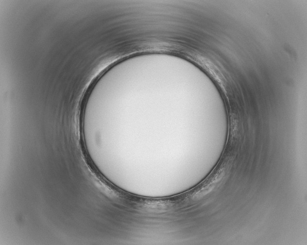 X0000115050843200911161546