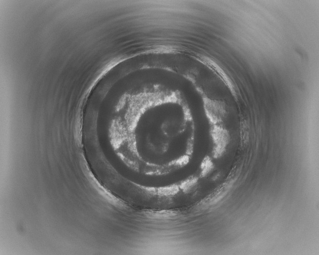 X0000115050851200911161546