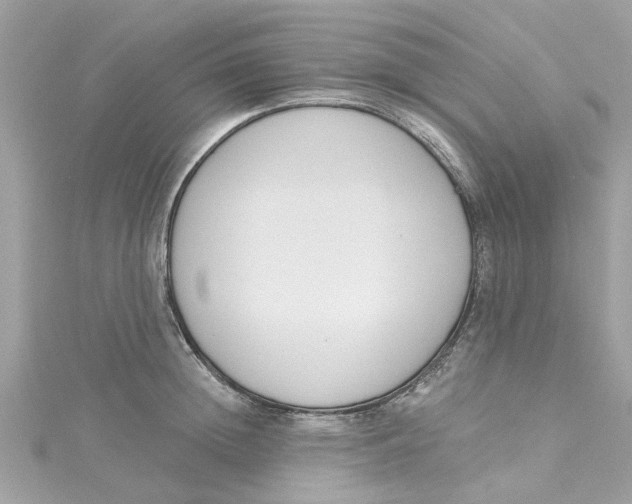 X0000115050852200911161546