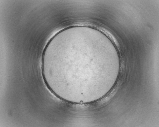 X0000115050855200911161546