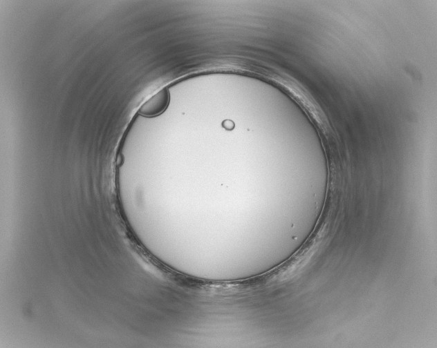 X0000115050858200911161546