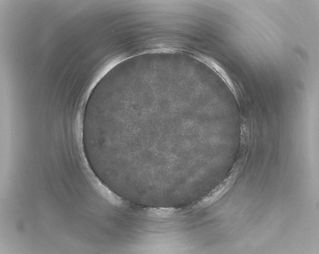 X0000115050859200911161546