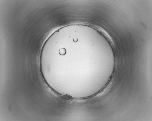 X0000115050860200911161546