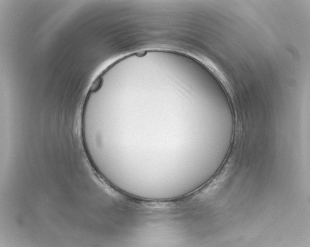 X0000115050862200911161546