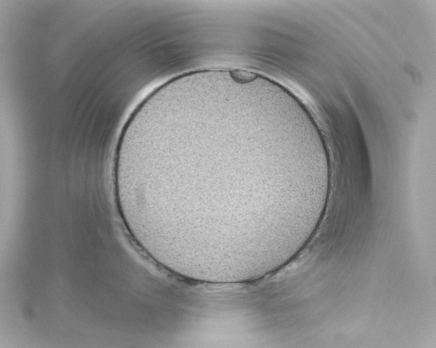 X0000115050864200911161546