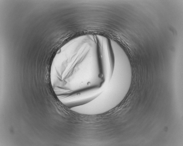 X0000115050868200911161546