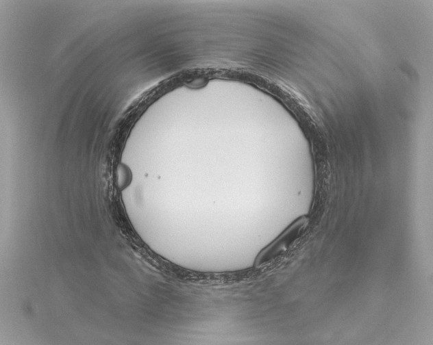 X0000115050872200911161546