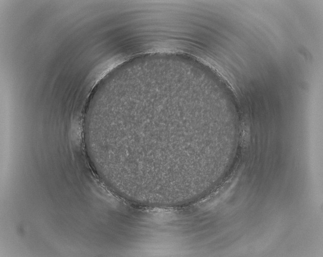 X0000115050874200911161546