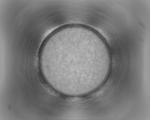 X0000115050879200911161546