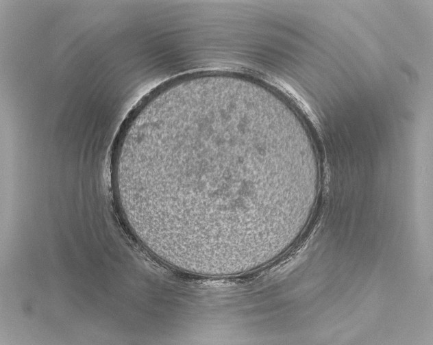 X0000115050883200911161546