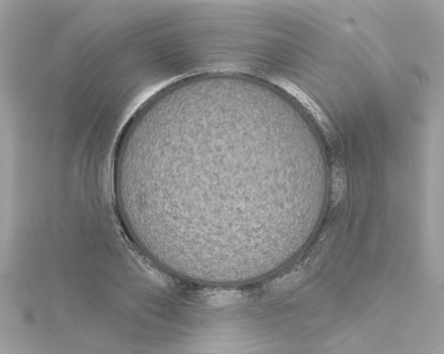 X0000115050886200911161546