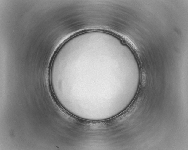 X0000115050895200911161545