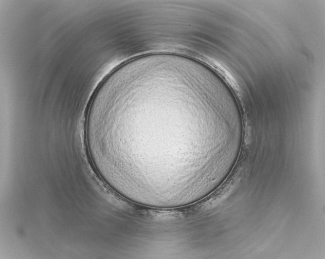 X0000115050899200911161545