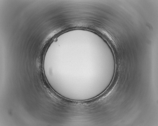 X0000115050922200911161545