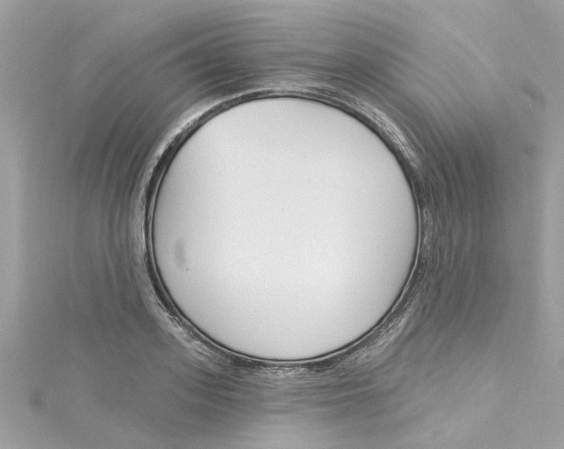 X0000115050939200911161545