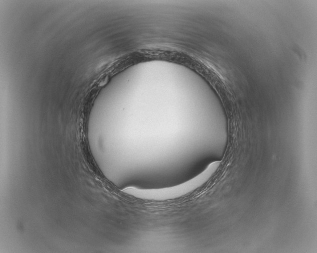 X0000115050965200911161544