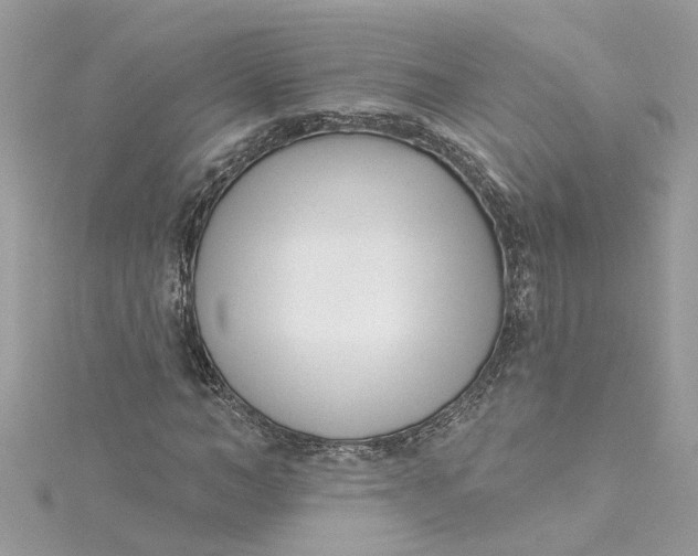 X0000115050966200911161544