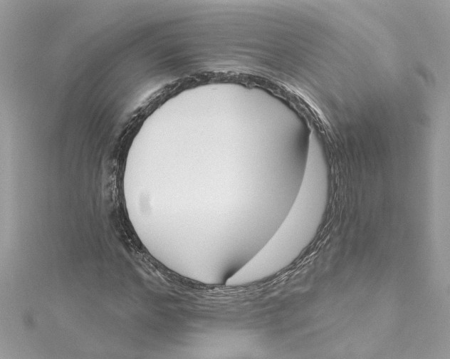 X0000115050968200911161544