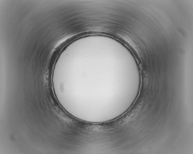 X0000115050971200911161544