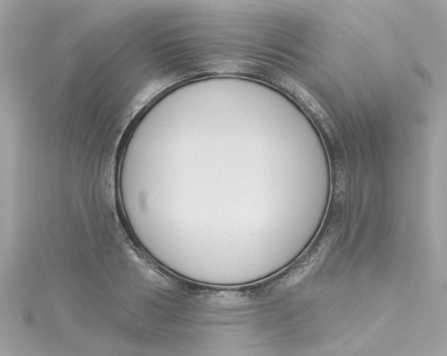 X0000115050986200911161544