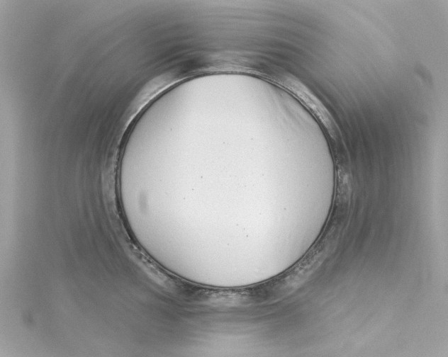 X0000115051002200911161544