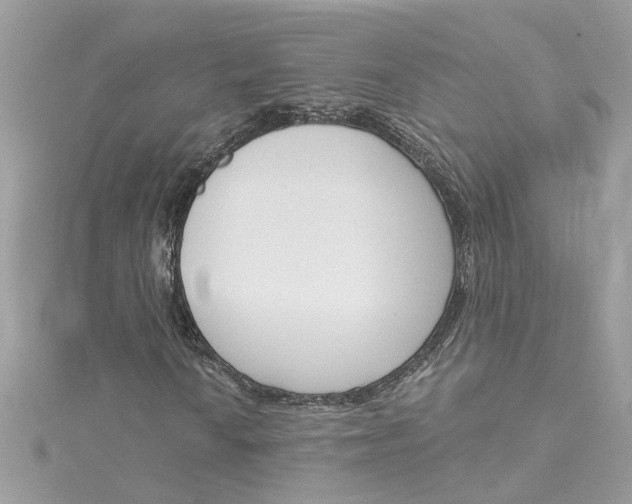 X0000115051010200911161543