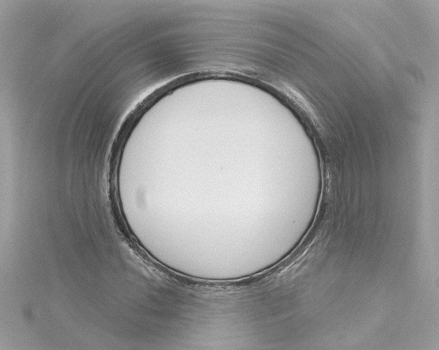 X0000115051020200911161543