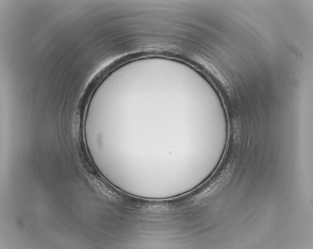 X0000115051021200911161543