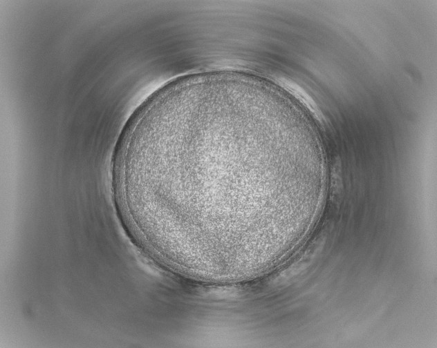 X0000115051047200911161544